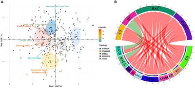 Interactions between climate, shade canopy characteristics and cocoa production in Colombia